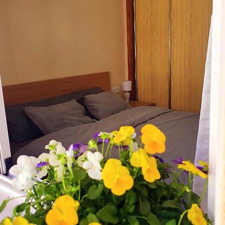 Isamar Apartamento Playa Del Cura Torrevieja Dış mekan fotoğraf